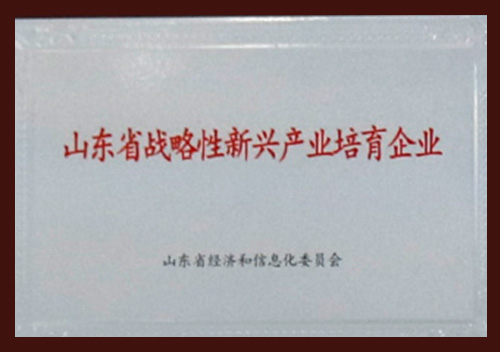 Entreprise émergente soutenue stratégiquement de la province du Shandong